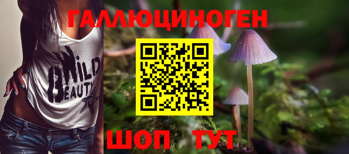 Галлюциногенные грибы прущие грибы Урай